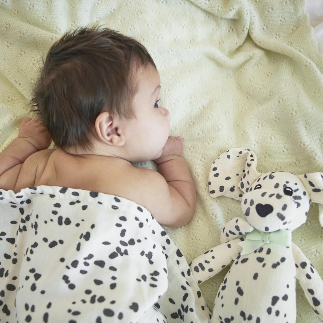 ELODIE SNUGGLE DALMATIAN DOTS - Image 2