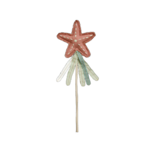 LORENA CANALS MAGIC WAND STARFISH