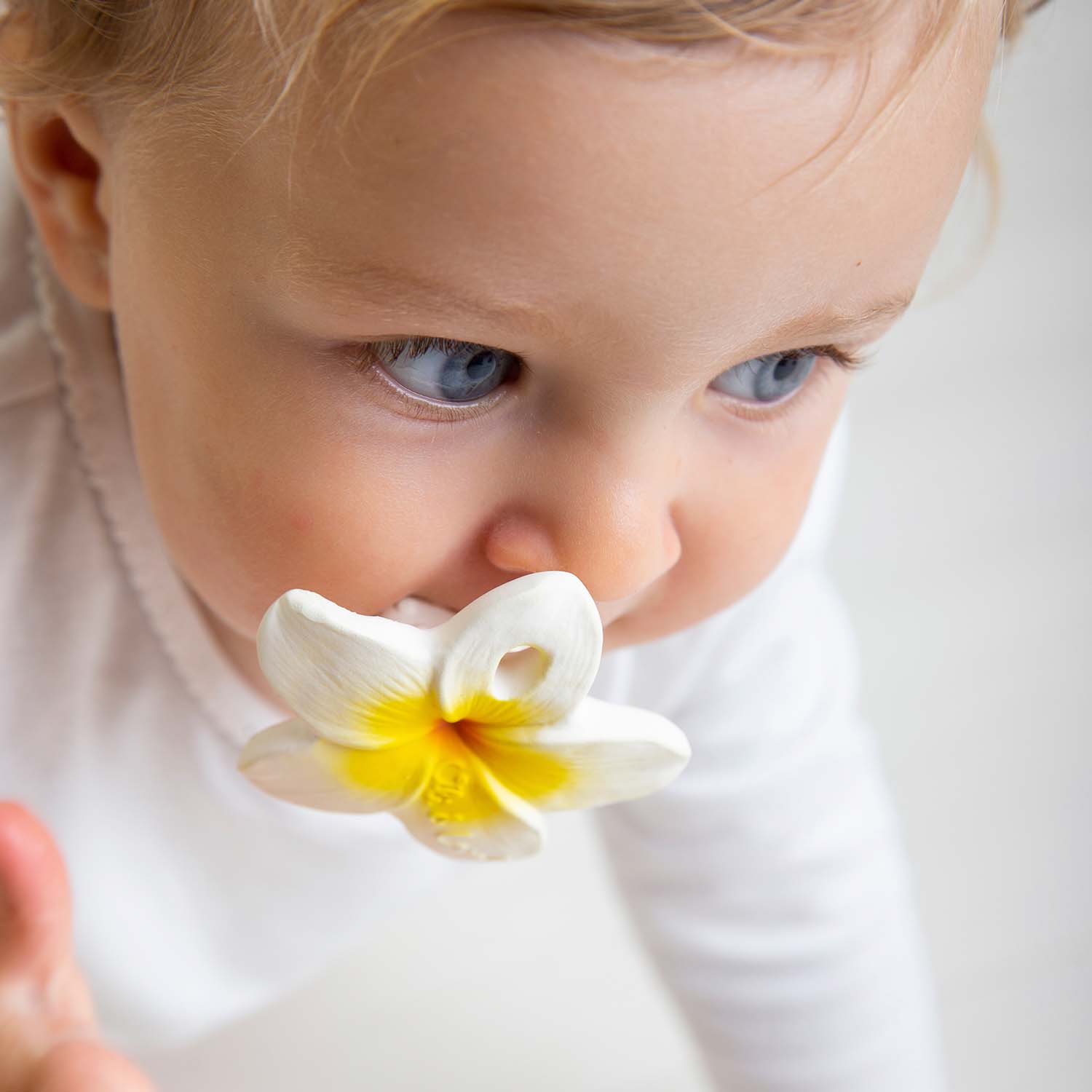 OLI&CAROL TEETHER HAWAII THE FLOWER - Image 2