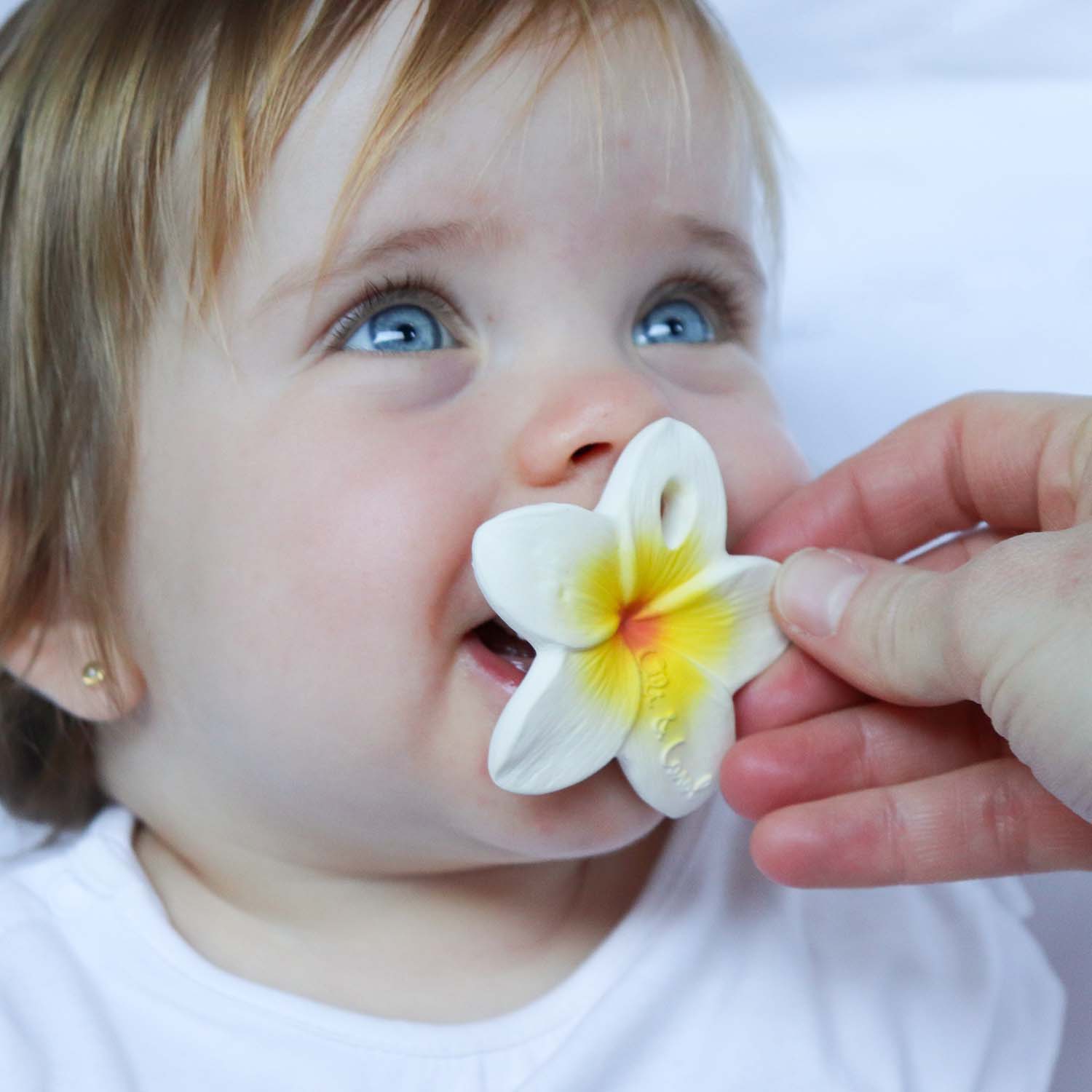 OLI&CAROL TEETHER HAWAII THE FLOWER - Image 5