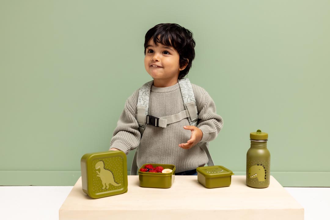 TRIXIE Snack box nesting - 3pcs - Mr. Dino - Image 8