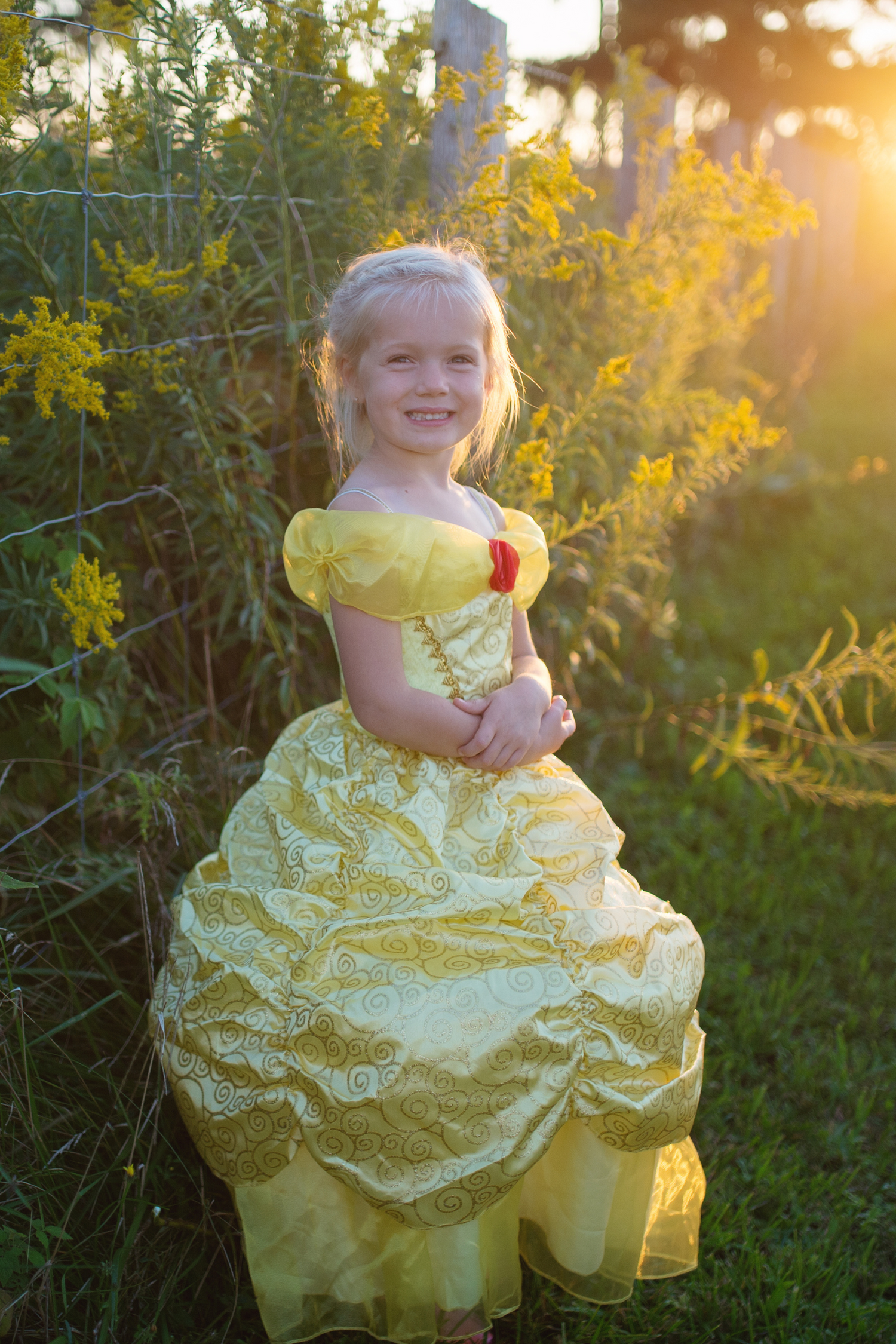 GREAT PRETENDERS Fairytale Princess Gold Gown 5-6Y - Image 3