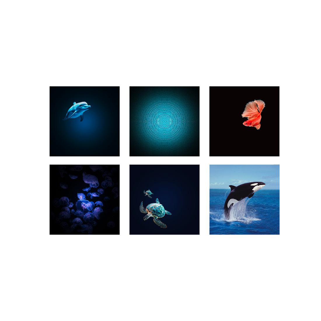 Kidywolf - KIDYSTAR Ocean and seas image projector - Image 4