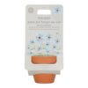 LITTLE DUTCH. Pot with Forget-me-not plant