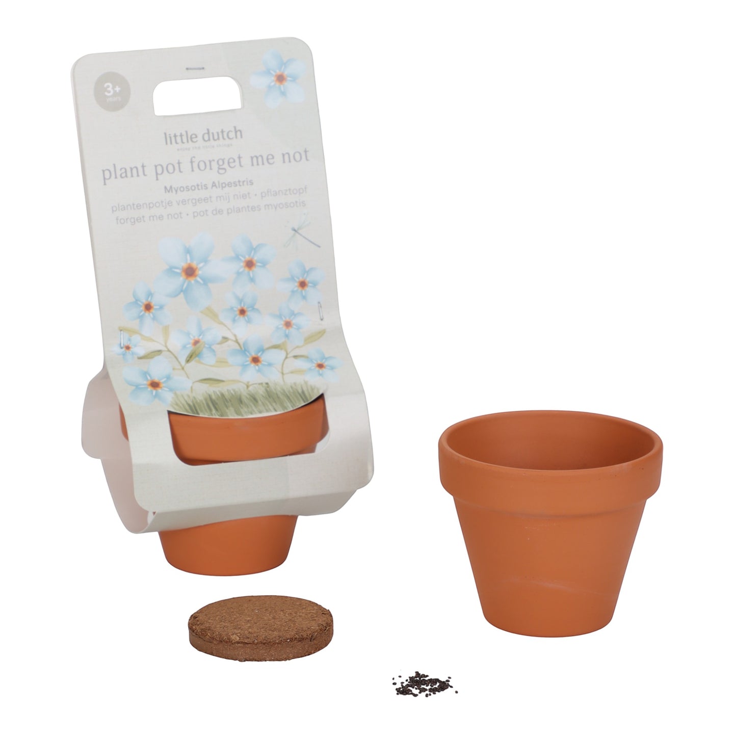 LITTLE DUTCH. Pot with Forget-me-not plant - Image 2