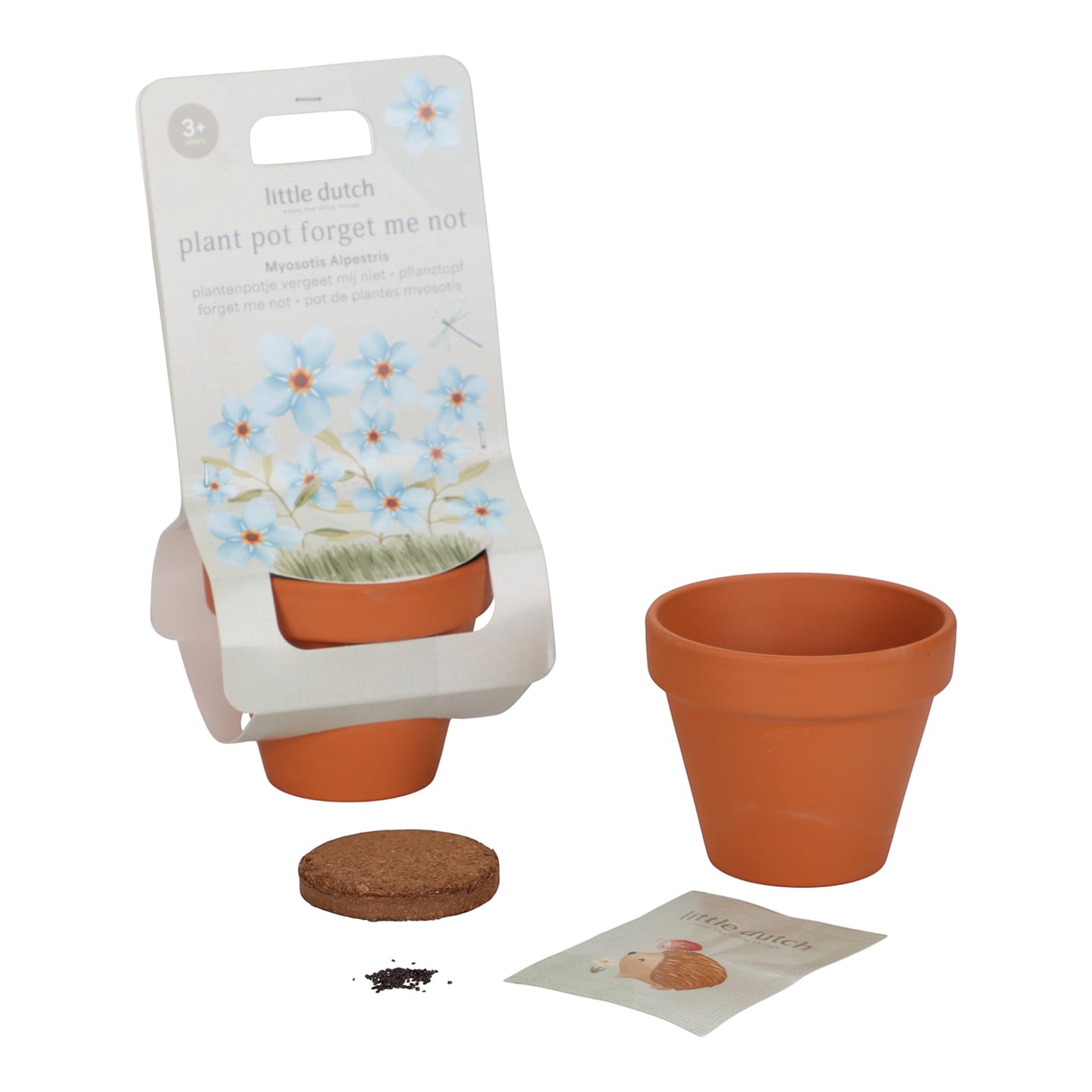 LITTLE DUTCH. Pot with Forget-me-not plant - Image 3