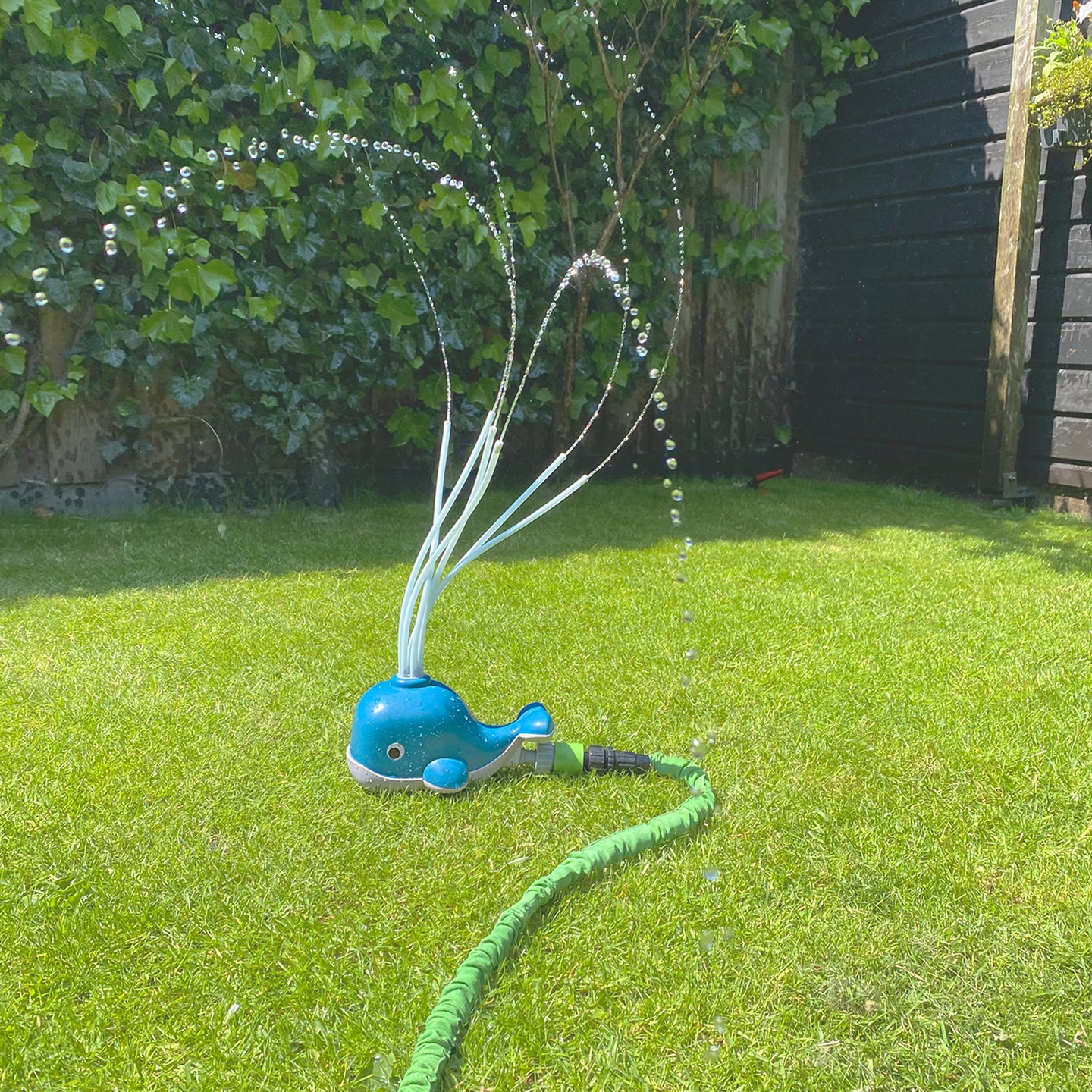BS TOYS. Whale sprinkler - Image 2