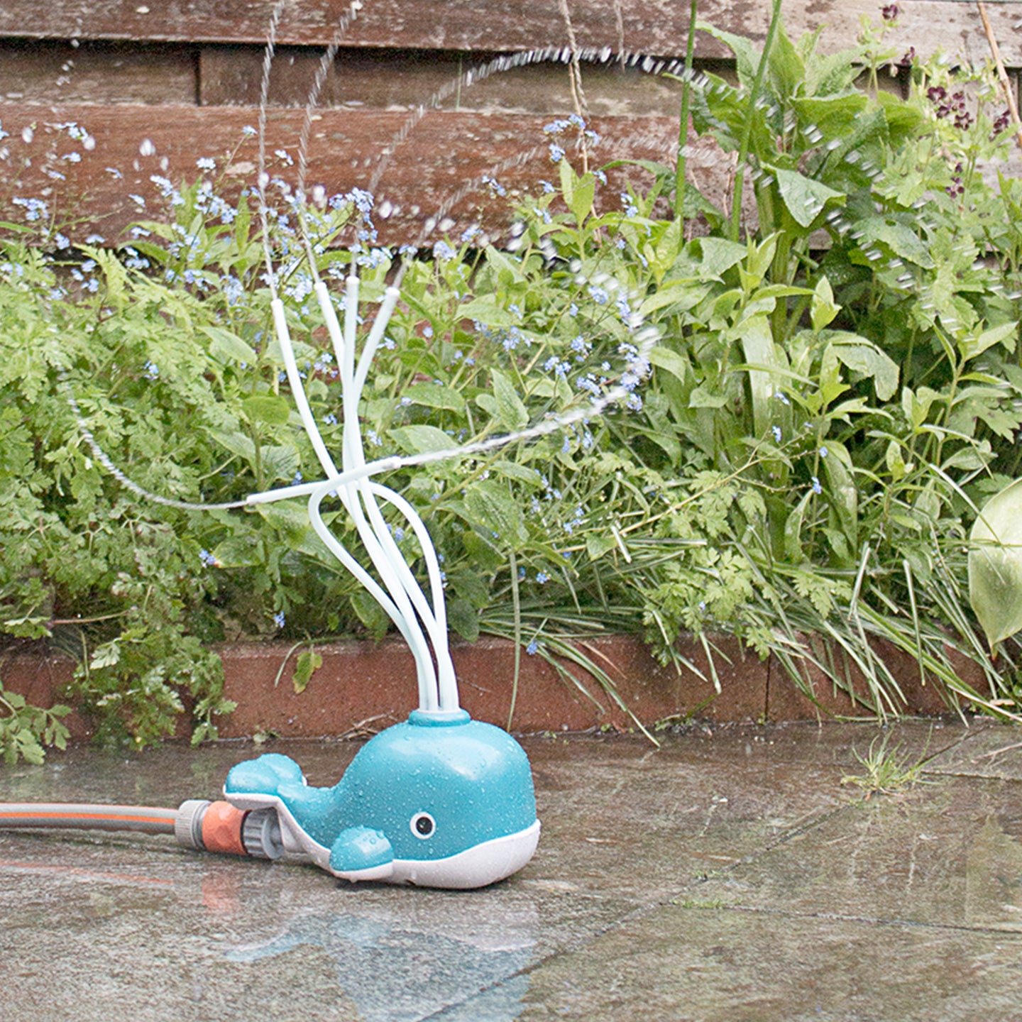 BS TOYS. Whale sprinkler - Image 6