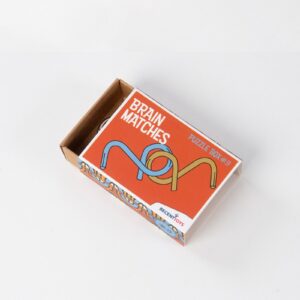 Brain Matches puzzle No. 9