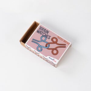 Brain Matches puzzle No. 6
