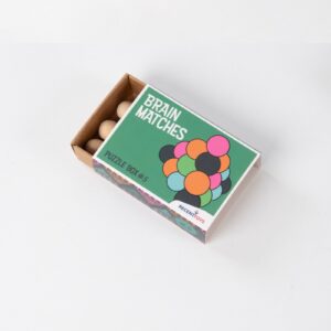 Brain Matches puzzle No. 5