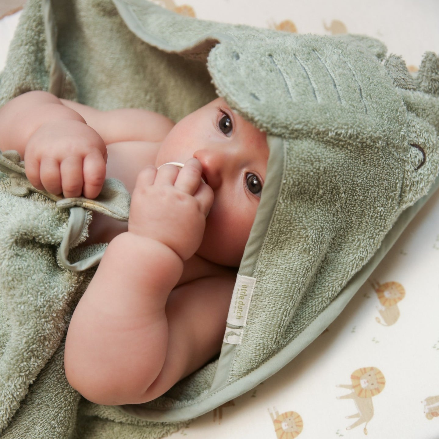 LITTLE DUTCH. Crocodile Hooded Towel 100x100 - Image 4